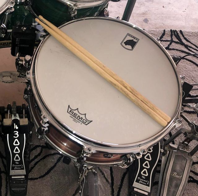 BPNCO4601CN Predator. Photos - Clay Foss