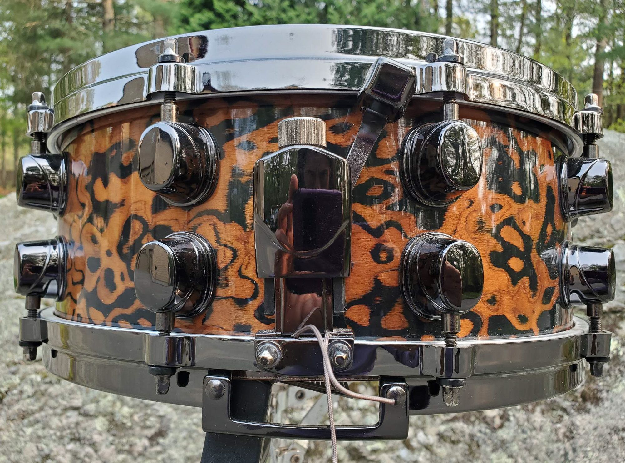 14"x5.5" Orion Chocolate Burl. Photo - Duke Burgundy
