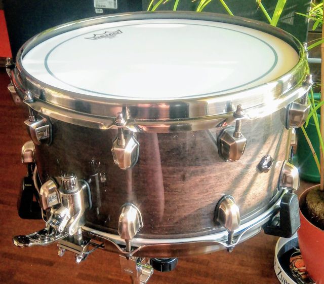 BPML4700TLNTB Phatbob. Photo - Bojan Ružman.