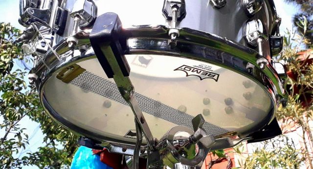 BPNAL4651CN 14"x6.5" Atomizer. Photo - Maxy Pepe.