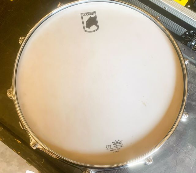 14"x8" Ash Burl Coffee Burst Special Edition. Photo - Kelly Endsley