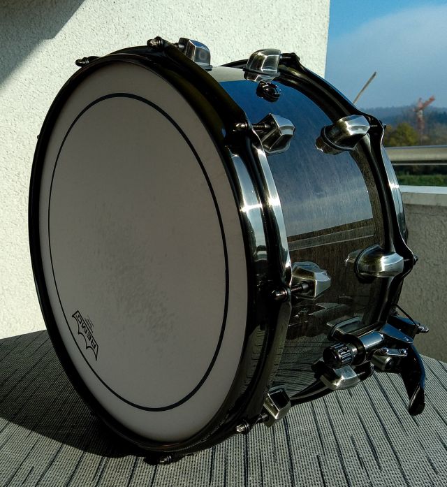 BPML4700TLNTB Phatbob. Photo - Bojan Ružman.