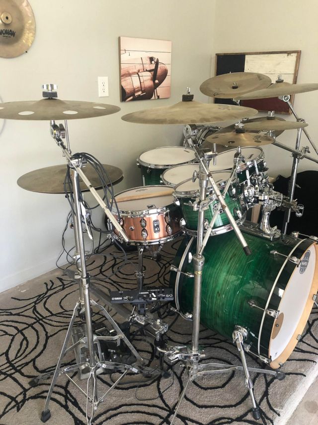 BPNCO4601CN Predator. Photos - Clay Foss