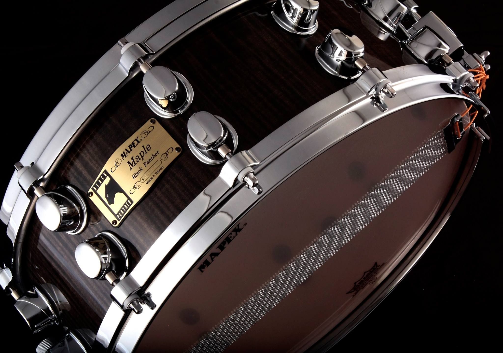 14 x 5.5 Flamed Maple Chocolate Brown "Golden Week" Snare Japan Only