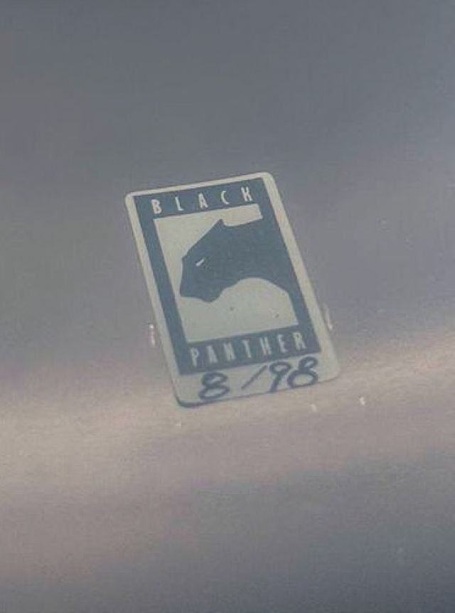 12"x5.5" Brass Master. Photo - George Lucarelli