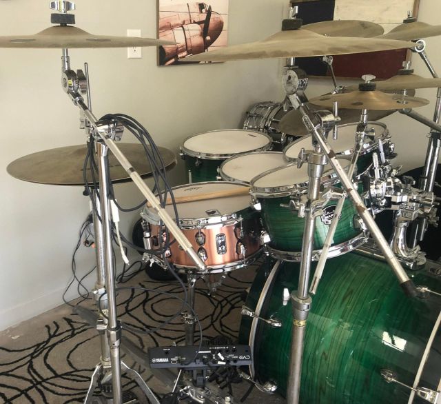 BPNCO4601CN Predator. Photos - Clay Foss