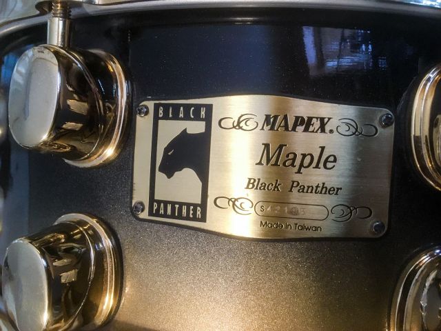 14"x5.5" Gold Fade Maple. Photo - Rob James