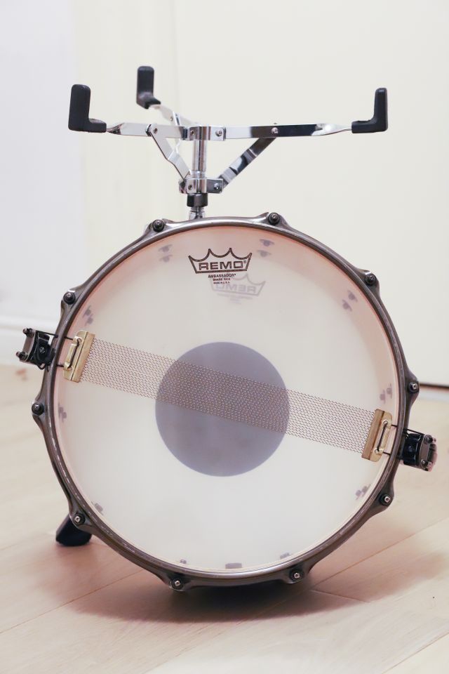 BPML4500LNTB Black Widow. Photo - Liam Ross