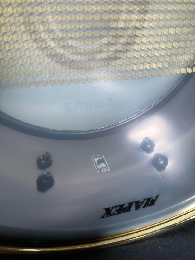 12"x5.5" Brass Master. Photo - George Lucarelli