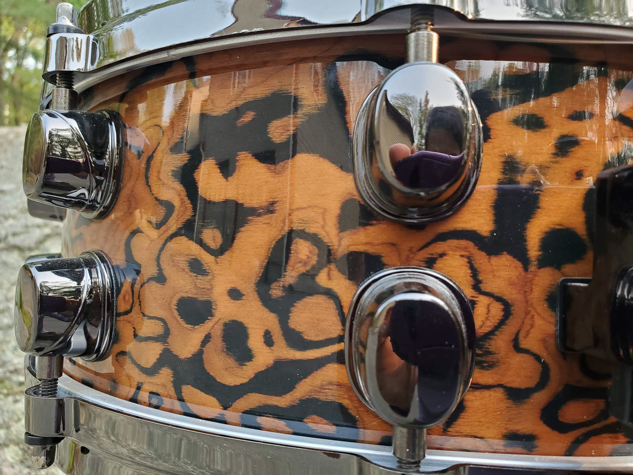 14"x5.5" Orion Chocolate Burl. Photo - Duke Burgundy