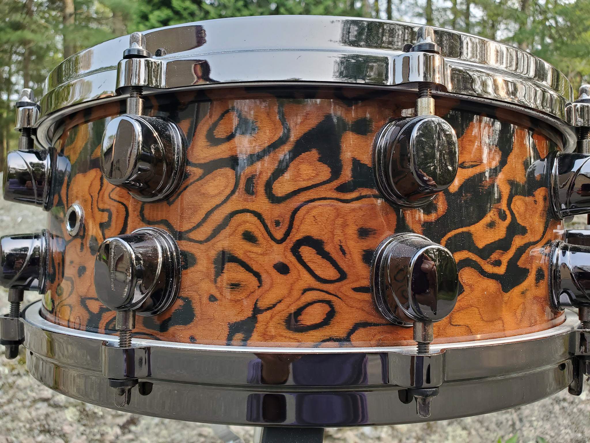 14"x5.5" Orion Chocolate Burl. Photo - Duke Burgundy