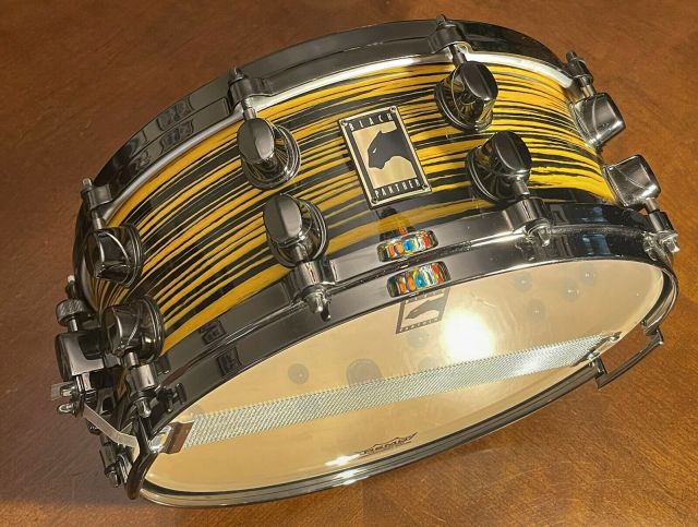 Yellow Zebrawood. Photo - Zack Cruz