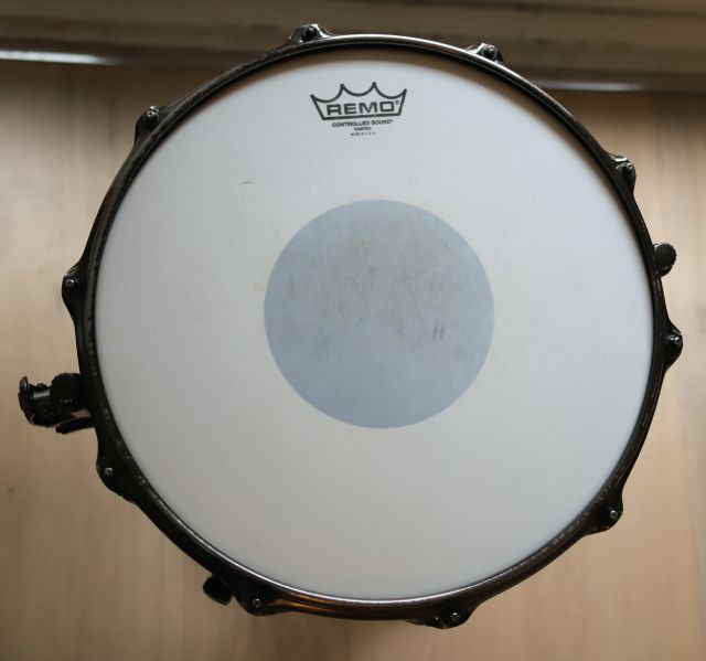 BPML4500LNTB Black Widow. Photo - Liam Ross